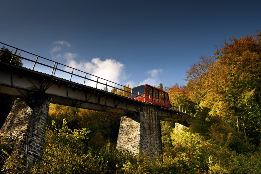 Bild: Harderbahn im Herbst, Interlaken, Berner Oberland