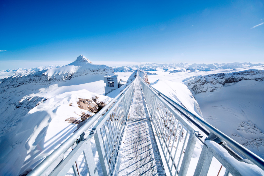 Image: Glacier 3000 Peak Walk by Tissot