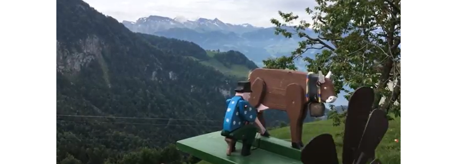 Video: Mood Rigi